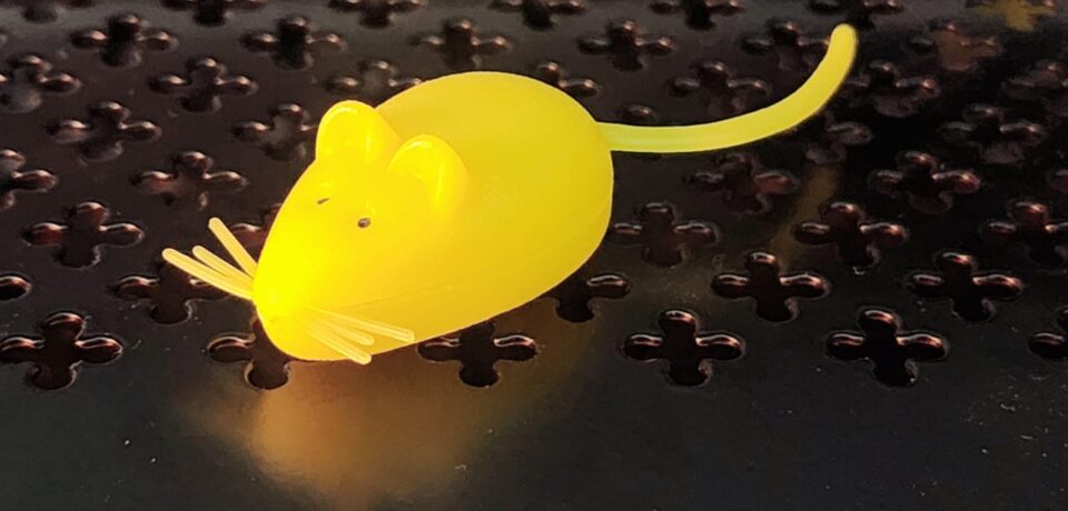 RATON-PEREZ-AMARILLO